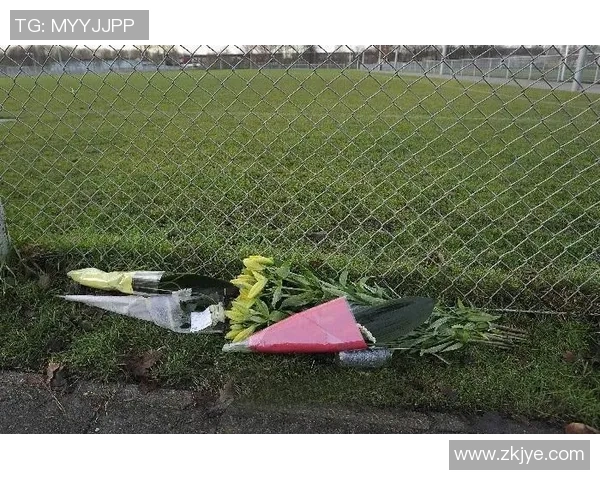 温暖球场之外的英雄心 这些足球球星为爱传递温情与希望 温暖球场之外的英雄心 这些足球球星为爱传递温情与希望