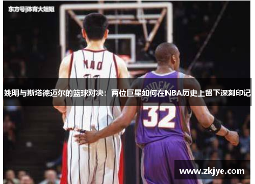姚明与斯塔德迈尔的篮球对决：两位巨星如何在NBA历史上留下深刻印记
